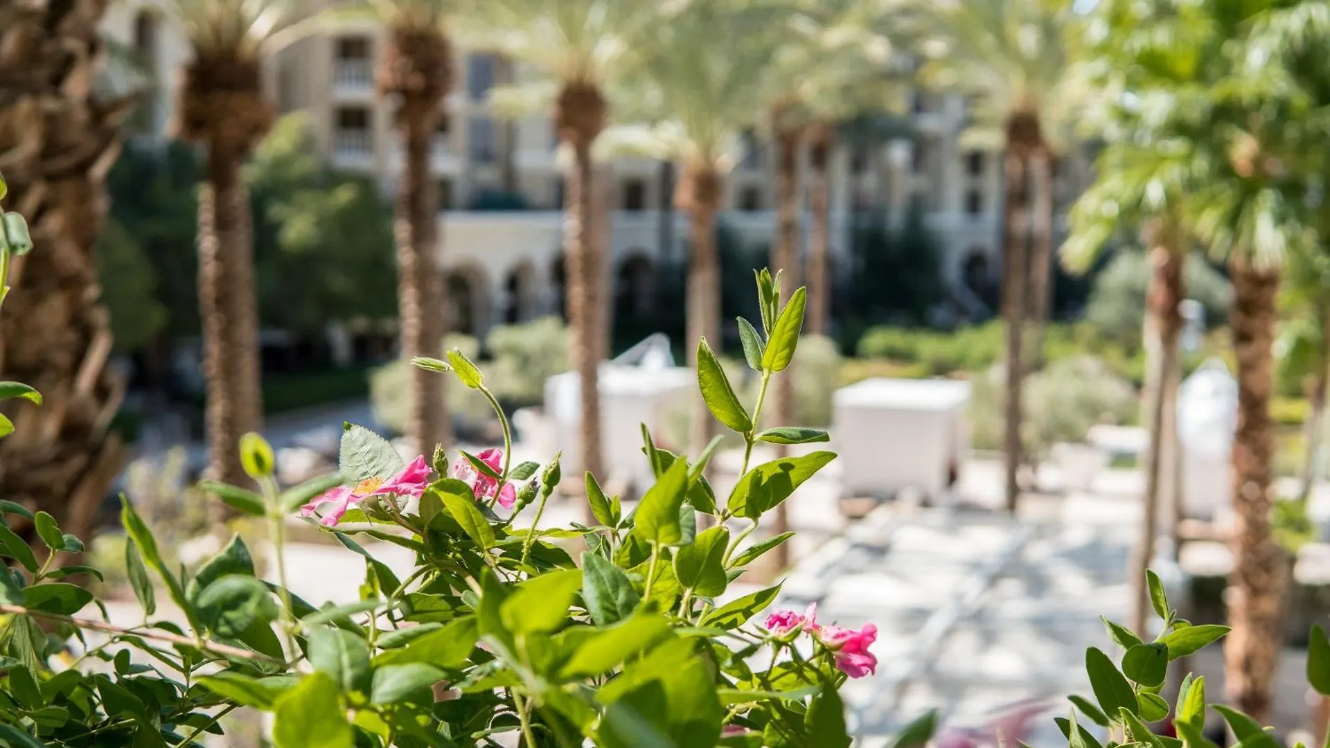 Hotel Green Valley Ranch Resort Spa Casino Las Vegas